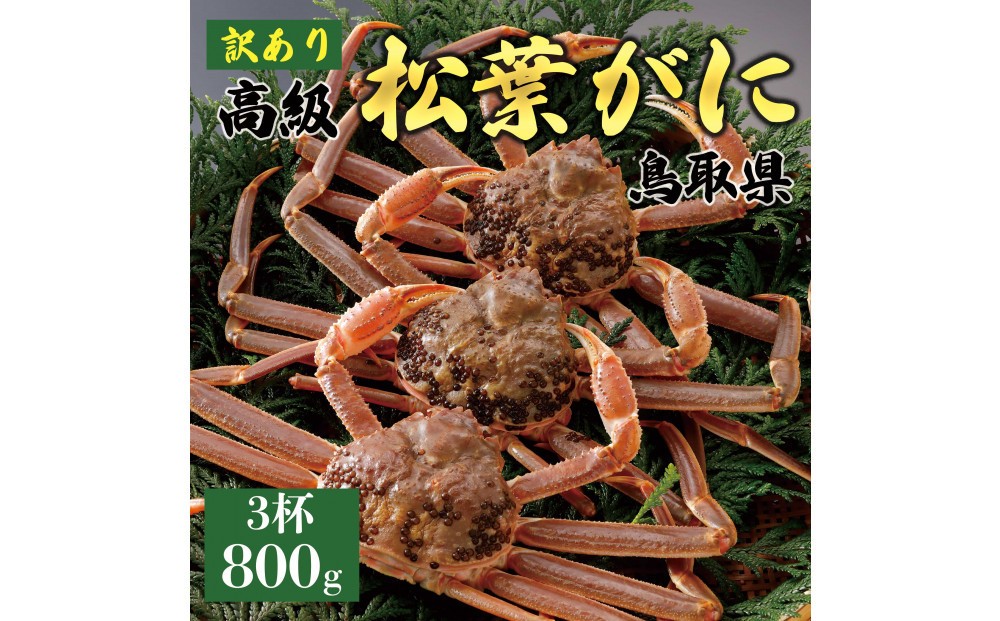 
            1049.【2025年11月発送】特撰 松葉がに（なま）【訳あり】800g超の大きいサイズ 食べ応えあり 特大3杯
          