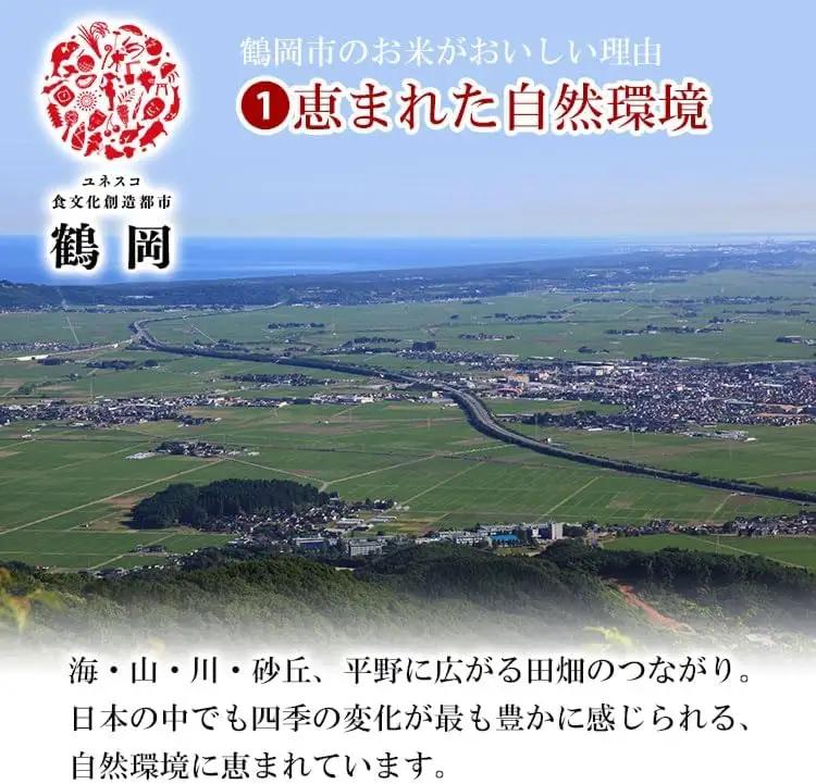 【令和7年産】【3ヶ月定期便】はえぬき 精米 5kg×3回 計15kg 山形県 庄内産　米食味鑑定士お薦め　| 5キロ 定期便 白米 精米 美味しい お米 米 コメ こめ ブランド米 ご飯 ごはん 鶴