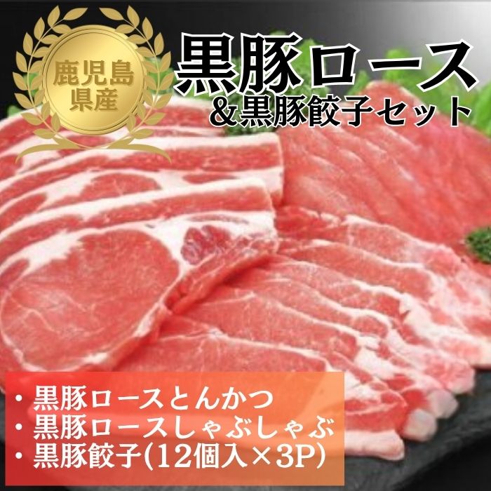 【B06001 】鹿児島県産黒豚ロース＆餃子セット