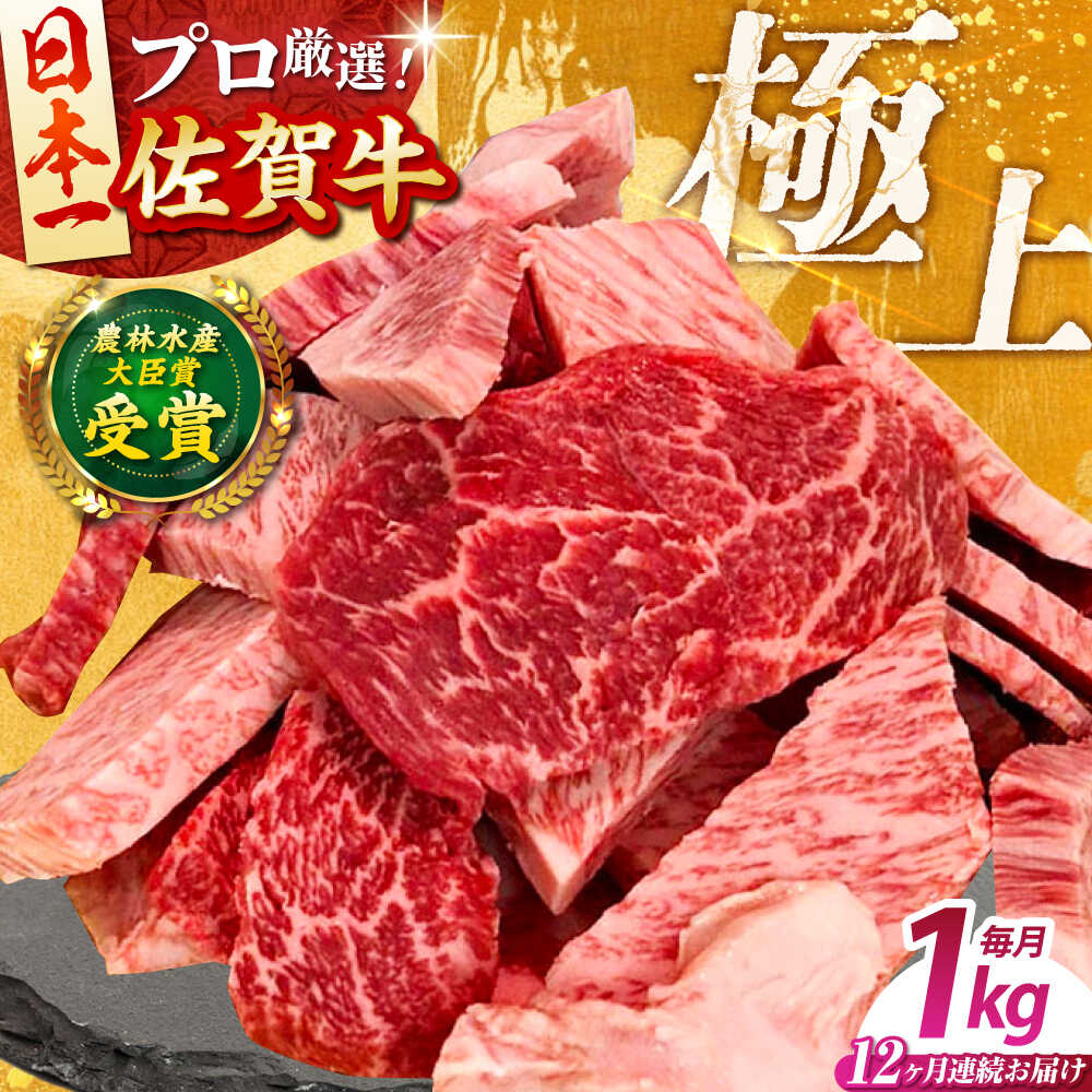 【ふるさと納税】【全12回定期便】佐賀牛 焼肉用 ( カルビ ・ 赤身 ) 1kg 【田中畜産牛肉店】 佐賀牛 牛肉 精肉 肉 切り落とし[HBH153]