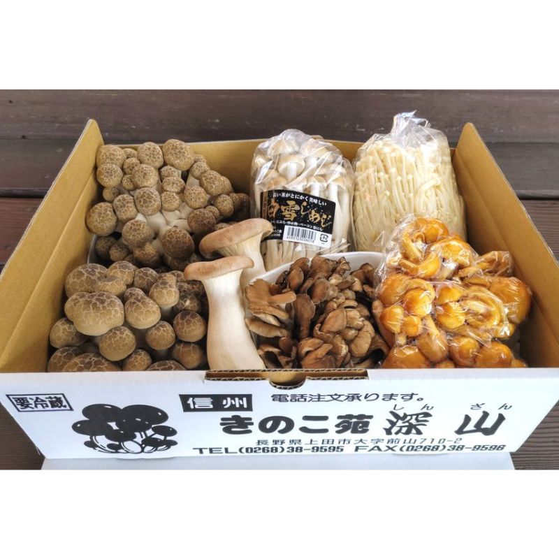 【ふるさと納税】朝採りきのこ6種詰め合わせ