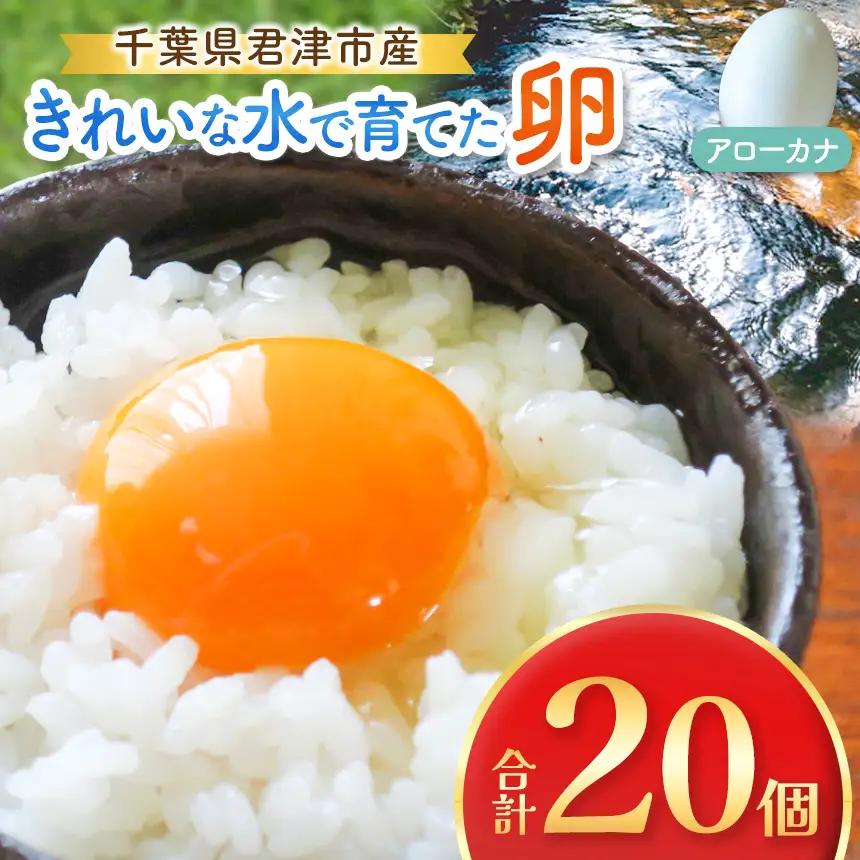 2週間以内に発送 きれいな水で育てた卵 アローカナ 20個  | 保坂農場