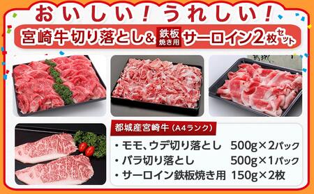 【元気モリモリ福袋】宮崎牛切り落とし・鉄板焼き用サーロイン2枚セット_AE-2501_(都城市) A4 4等級 牛肉 牛バラ切り落とし肉 牛ウデ・牛モモ切り落とし肉 各500g