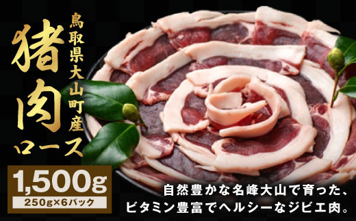 
GB-11　猪肉　ロース　1.5kg（250g×6パック）
