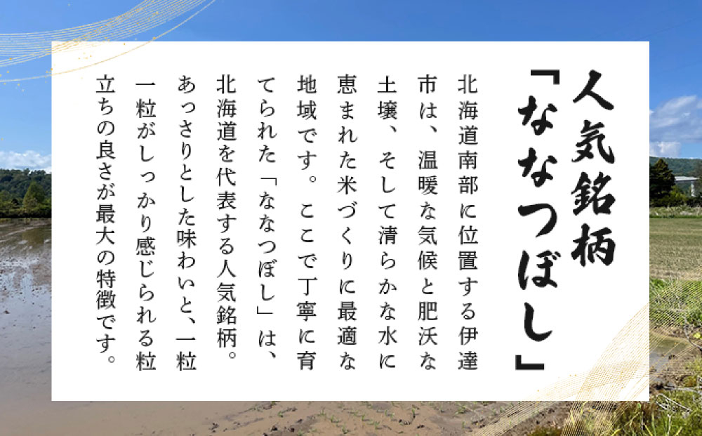＜先行予約＞【6回定期便】令和8年産 ななつぼし 精米 5kg｜生産者直送 北海道伊達産 北海道 ブランド米【tkk-023_06】