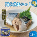 【ふるさと納税】 国産サバ水煮12缶 190g×12缶 さば 鯖 水煮 さば水煮 鯖水煮 缶詰 魚 海鮮 魚介 魚介類 保存食 非常食 防災 災害 食料 キャンプ 常温 長期保管 缶詰セット 贈答 ギフト 備蓄 おかず おつまみ 惣菜 ご飯 青魚 健康 美容 送料無料 千葉県 銚子市 信田缶詰