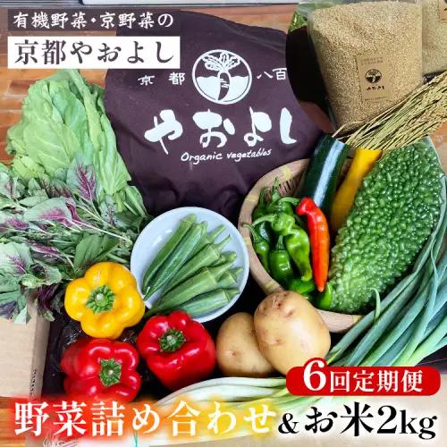 【6回定期便】有機野菜詰め合わせ＆米 野菜