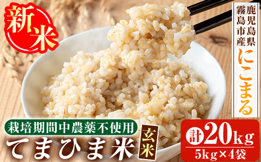 K-391-D ＜令和7年産新米 先行予約受付中！2025年12月以降順次発送予定＞てまひま米・玄米(品種:にこまる)(計20kg)【末蜜農園】霧島市 お米 玄米 米 こめ コメ ご飯 ごはん 定期便 栽培期間中農薬不使用