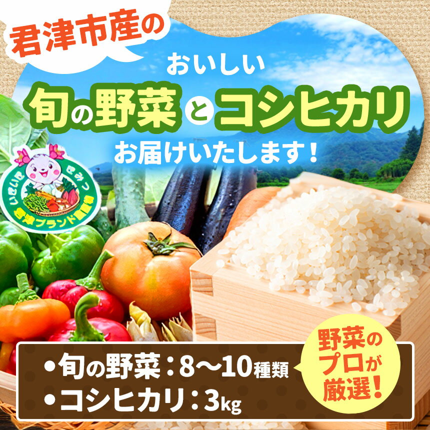 【ふるさと納税】新米 君津市産 季節の野菜8〜10種類 季節の野菜まごころBOX ＆ 君津市産 令和7年産 コシヒカリ 精米 3kg | 野菜 詰め合せ 送料無料 JAきみつ味楽囲（みらい）さだもと店 人気の直売所 君津市 きみつ 千葉県