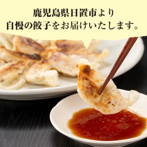 No.861t-A ＜定期便・全3回＞鹿児島黒豚使用の黒豚餃子(計96個・12個入り×8パック)×3回 国産 九州産 ぎょうざ ギョウザ 冷凍 黒豚 豚肉 お肉 おかず 頒布会【末永商店】