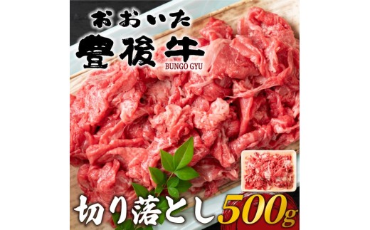 おおいた豊後牛切り落とし 500g | 和牛 豊後牛 国産牛 ステーキ肉 すき焼き しゃぶしゃぶ 大分県産 九州産 津久見市 国産