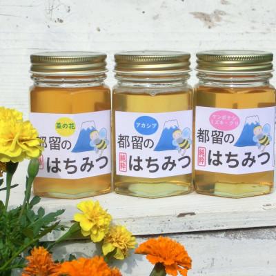 ふるさと納税 都留市 都留の富士山はちみつ・食べ比べ3本セット種類はおまかせ(170g×3)