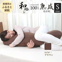 【ふるさと納税】優しい肌触りの 100時間熟成 和晒しダブルガーゼ抱き枕 Sサイズ（ブラウン）