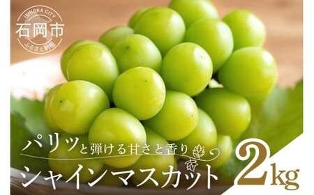【 2026年 先行予約 】 シャインマスカット 2kg 石田ぶどう園 3房 ～ 5房 種なし ぶどう ブドウ 国産 果物 くだもの 大粒 葡萄 種無し フルーツ 2キロ 9月 10月 発送 秋 旬 品種 茨城県産 産地直送 産直 農家直送 冷蔵 茨城県 石岡市 (A02-015)