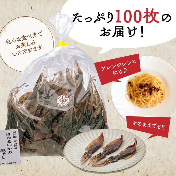 【12か月定期便】ほたるいか 素干し 100枚 ※北海道・沖縄・離島への配送不可_イメージ4