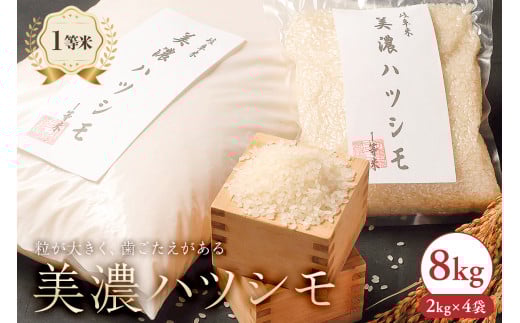 2025年産米　美濃ハツシモ　1等米8kg（2kg×4袋） 【米 白米 ごはん 自家精米 歯ごたえ あっさり】
