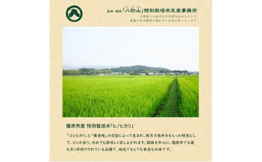 【新米】奈良・橿原　農薬や化学肥料不使用【令和7年産】ヒノヒカリ【精白米】約5kg（5kg×1袋）