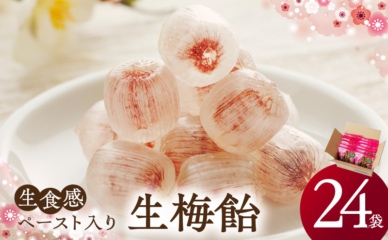 
            生梅飴 梅キャンディ 梅飴 紀州 南高梅 梅肉エキス ペースト お菓子 あめ キャンディー 飴 個包装 袋 リボン RIBON
          