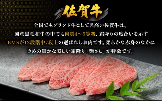 佐賀牛トモサンカク焼肉【04bh-0023】