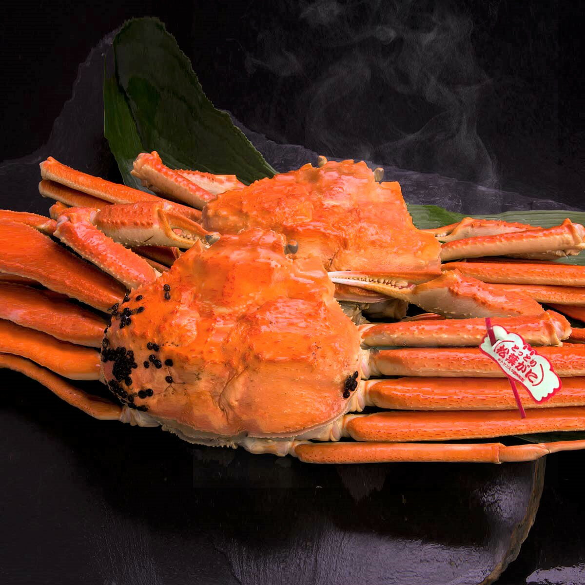 【ふるさと納税】松葉ガニタグ付き 大2枚 蒸し / 1枚800～940g前後 ズワイガニ かに TM2 0712