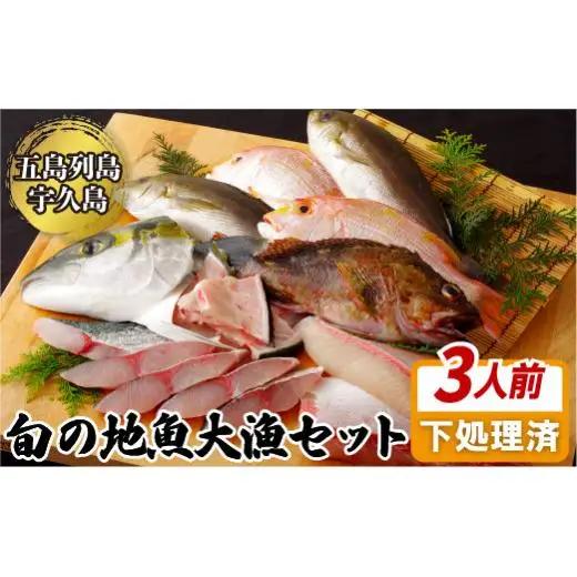 【地魚】五島列島旬の地魚大漁セット 魚介類 A198