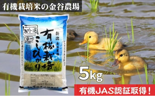 新潟県産JAS有機栽培米コシヒカリ 白米5kg｜こしひかり コシヒカリ 米 お米 こめ おすすめ 人気 ふるさと納税 有機栽培 新潟 新潟県産 にいがた 上越 上越産