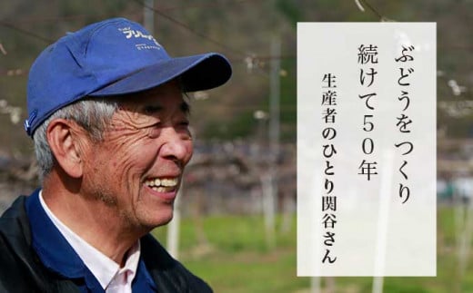 50年以上ぶどうを作り続けている関谷圀弘さんは、10種類以上のぶどうを栽培している、まさに小布施のぶどう名人です。