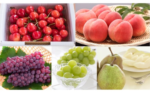 08-08-022　天童特選フルーツめぐり(定期便)全5回