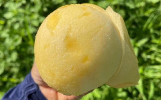 【先行予約・2025年7月下旬頃発送】とろける果肉とたっぷり果汁の岡山の白桃・清水白桃(2kg箱)【配送不可地域：離島】