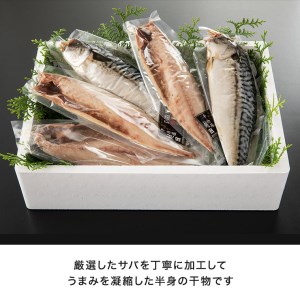 干物 サバ開き 半身 カジマ 特大 肉厚 さば 鯖 高級 焼き魚_AF037