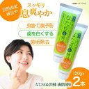 【ふるさと納税】自然由来成分でお口スッキリ！なた豆＆柿渋 歯磨き粉 120g×2本セット ハミガキ粉 歯ブラシ オーラルケア 口腔ケア 歯周病予防 \レビューキャンペーン中/愛媛県大洲市/サンユー商店[AGCS001]8000円 8000 八千 八千円 10000円 以下 一万円 以下