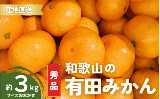 
                  ＼配送月が選べる！／ 秀品 有田みかん 和歌山県産 S～Lサイズ 大きさお任せ 3kg / みかん フルーツ 果物 くだもの 有田みかん 蜜柑 柑橘【ktn001A-cho】
                
