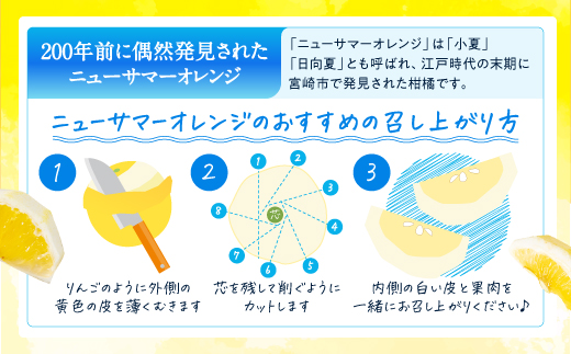 AA115.福岡柑橘王国．ニューサマーオレンジ約5キロ／2025年4月配送