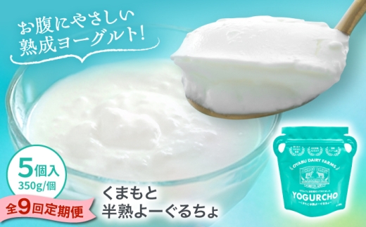 【全9回定期便】オオヤブデイリーファーム くまもと半熟よーぐるちょ 350g×5個 / よーぐるちょ ヨーグルト よーぐると ノンホモ 濃厚 熟成 朝食 デザート 乳製品 乳酸菌 熊本 合志 人気【株