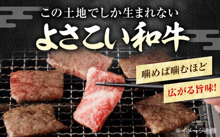 高知から美味しいお肉の玉手箱!化粧箱入り　約840g