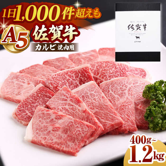 【ふるさと納税】【選べる容量・回数】佐賀牛 A5 カルビ 焼肉用 （ 400g / 800g / 1.2kg ）【山下牛舎】 [HAD053] / 牛肉 バラ カルビ 黒毛和牛 和牛 肉 焼肉 定期便 BBQ バーベキュー 鉄板焼き 国産 佐賀県 江北町