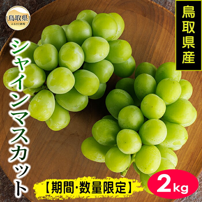 【ふるさと納税】B24-333 鳥取県産シャインマスカット　2kg【期間・数量限定】