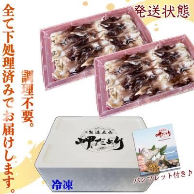 ふるさと納税 南知多町 純国産【見た目訳あり】 トリ貝 刺身 (特大9枚入り) 2セット 貝専門店 岬だより |  | 02