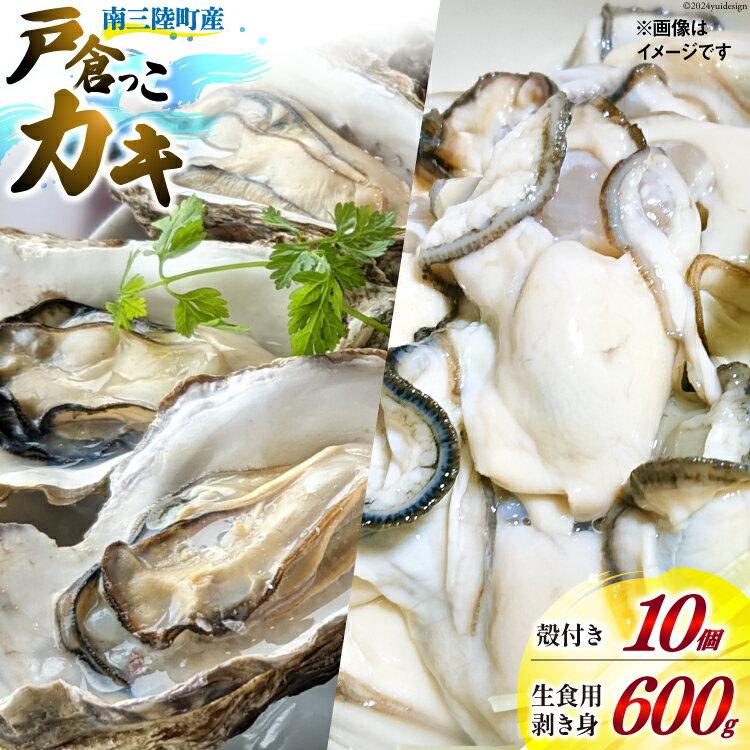 【ふるさと納税】 【期間限定発送】牡蠣 生食 南三陸町産 戸倉っこカキ 300g×2本 計600g 殻付き牡蠣 10個 [宮城県漁業協同組合志津川支所 宮城県 南三陸町 30an0003] 生カキ 生食用 剥き身 かき カキ 生ガキ むき身 むき 殻付