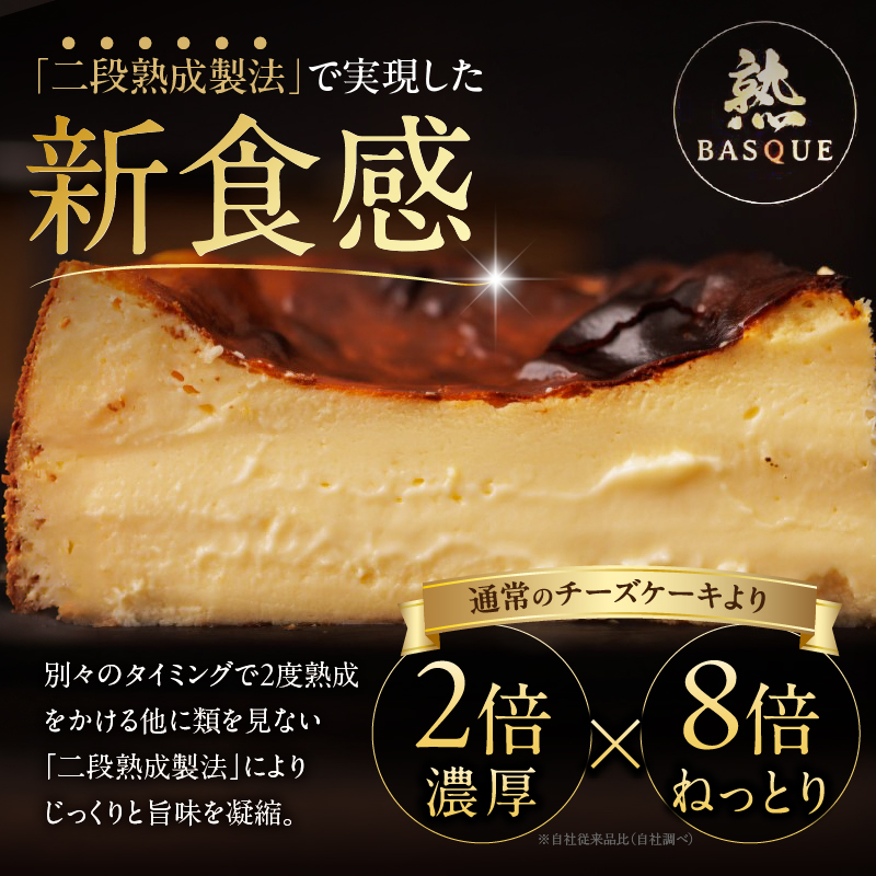 テレビ番組【ヒルナンデスで紹介!!】熟成バスクチーズケーキ_H0041-100