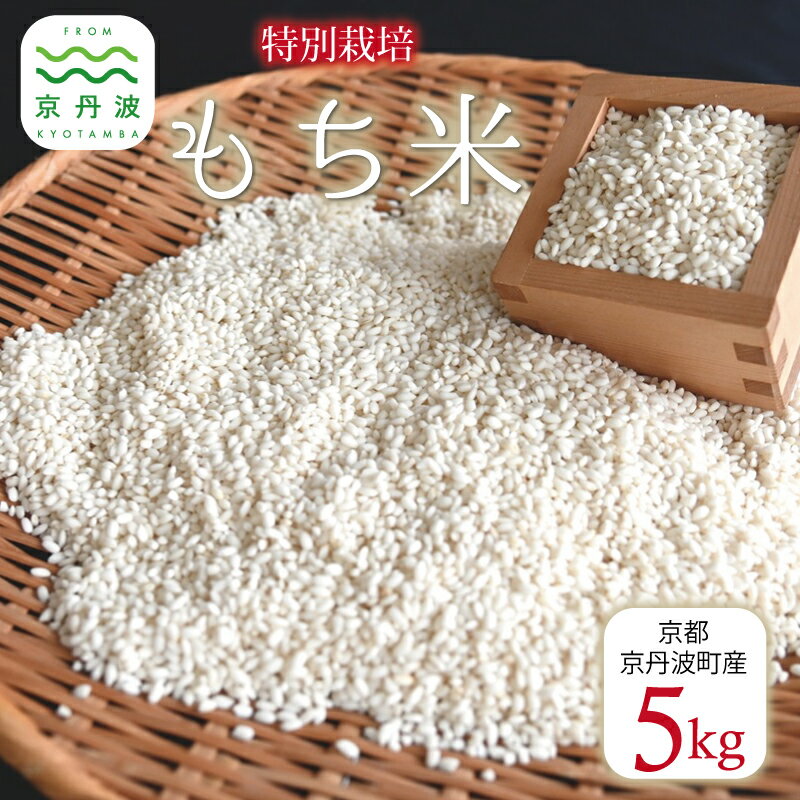 【ふるさと納税】《 数量限定 》 特別栽培 もち米 5kg 京都 丹波 京丹波町産 餅 もち 糯米 餅米 新羽二重糯 ※北海道・沖縄・その他離島は配送不可