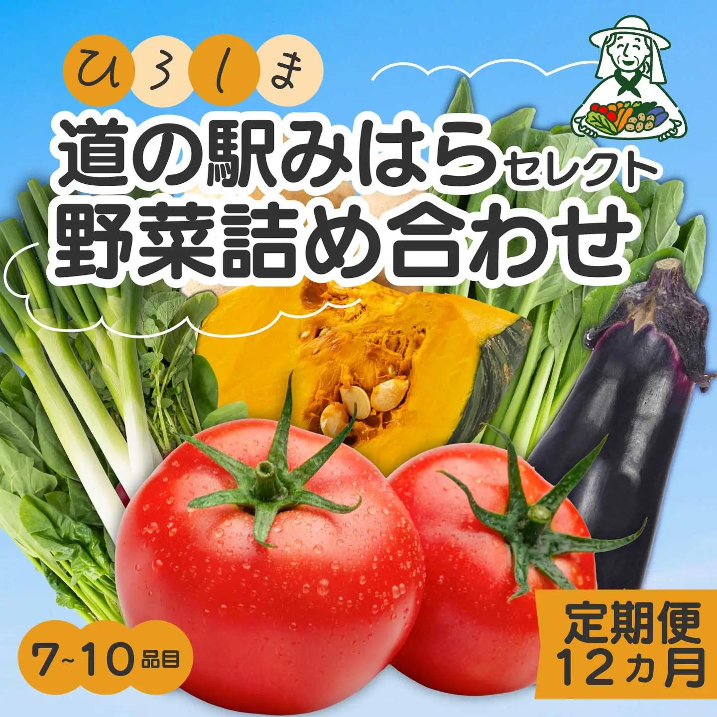 【12か月定期便】道の駅セレクト 旬野菜つめあわせ やさい 野菜 詰め合わせ 7～10品目 新鮮 国産 健康 ヘルシー サラダ 鍋 季節 043043