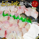 【ふるさと納税】とらふぐ鍋セット（5～6人前）送料無料 ふぐ 刺身 人気 ランキング 食品 魚介 魚介類 お刺身 刺身 魚介 類 海鮮 ふぐ フグ 虎ふぐ ふぐ刺し さしみ 贈答 贈答用 ギフト お取り寄せ お取り寄せグルメ 国産 年内 AE013