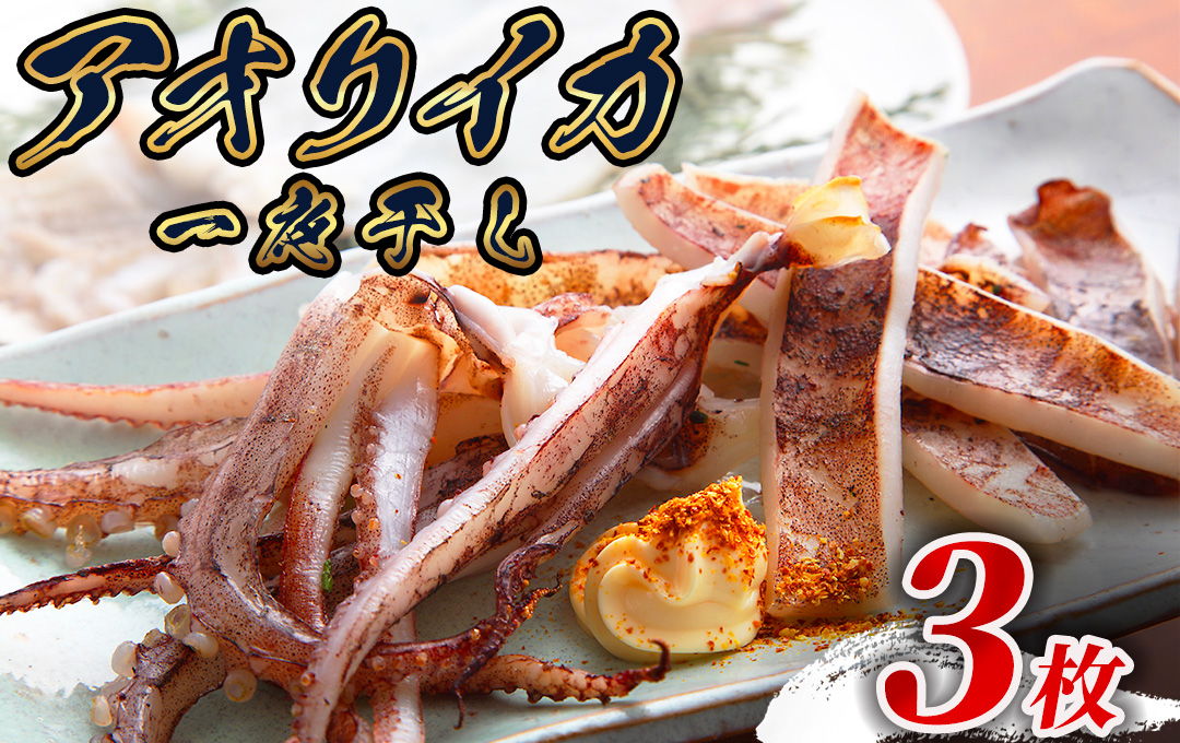 【伊豆漁協加工・直送！】アオリイカ 一夜干し 3枚　【 イカ アオリイカ 一夜干し ゲソ 新鮮 冷凍 直送 美味い おすすめ 水イカ 】