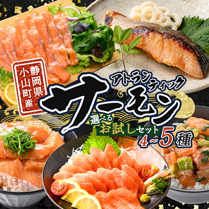 【ふるさと納税】小山町産 アトランティック サーモン (冷凍) お試しセット ｜ ＜選べる＞ サーモンブロック 有 or 無 ｜ サーモン アトランティックサーモン 鮭 刺身 魚介 海鮮 海鮮丼 ポキ丼 スモークサーモン 漬け 漬け丼 西京漬け 西京焼き 詰合せ 詰め合わせ セット