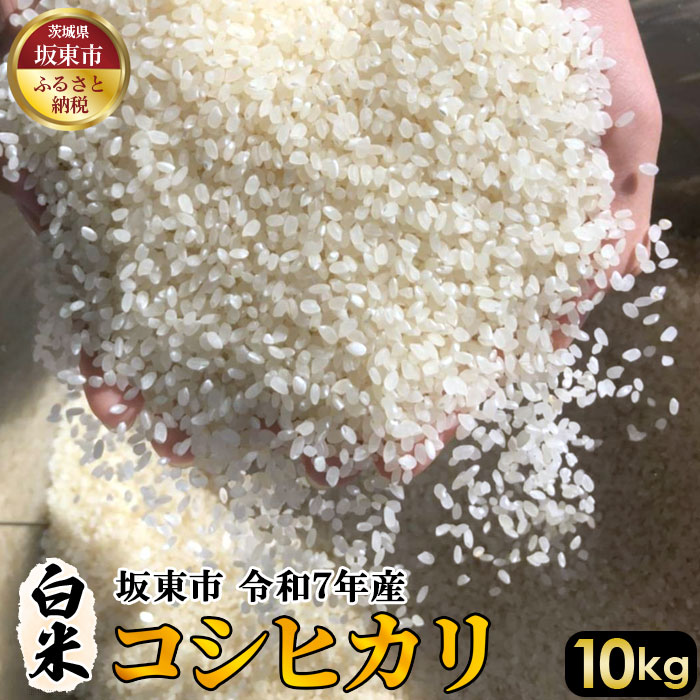 【ふるさと納税】 白米　コシヒカリ10kg【令和7年産】 ／ 自然 お米 米 こめ 送料無料 茨城県 No.404