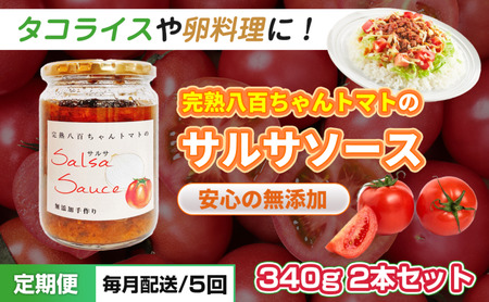 【定期便・全5回】サルサソース 340g 2本セット ×5回｜国産 姫路産 八百ちゃんトマト 着色料・保存料不使用