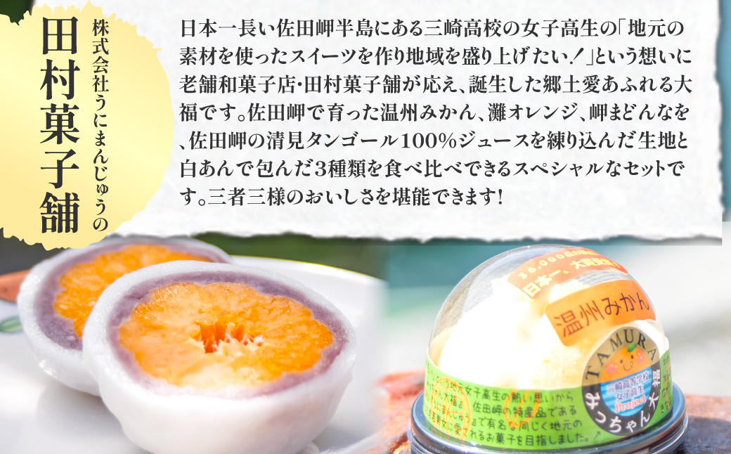 みっちゃん大福（温州みかん、灘オレンジ、岬まどんな）各種1個・八寿みかん大福3個セット 【ふるさと納税 人気 おすすめ ランキング 大福 みっちゃん大福 温州みかん ナダオレンジ 岬まどんな 八樹みか