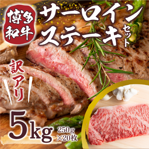 訳あり 博多和牛 サーロイン ステーキ 250g×20枚 計5kg [MEAT PLUS 福岡県 宇美町 um40azp010024] セット 牛肉 サーロインステーキ 肉 和牛