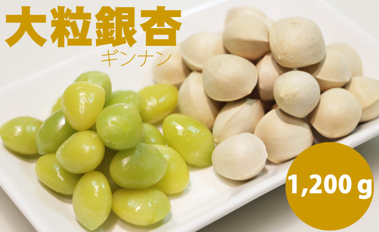 
            【先行予約】大粒銀杏（1,200g）江里口加工所 ぎんなん 季節 旬の食材
          